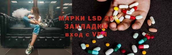 стафф Надым