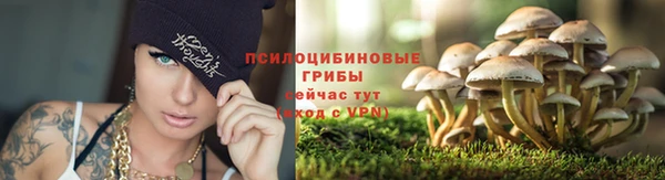 спайс Наволоки