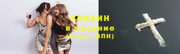 стафф Надым