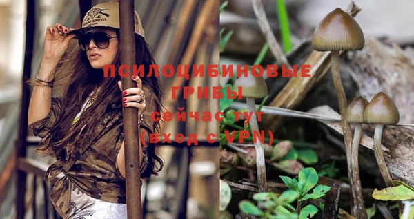 стафф Надым