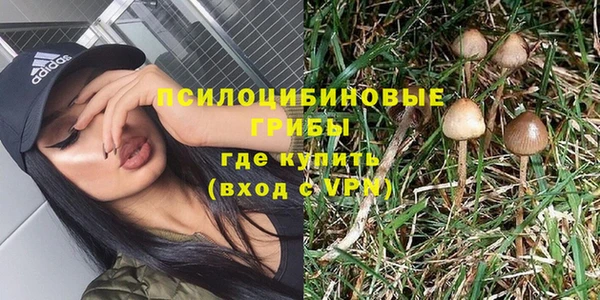 стафф Надым
