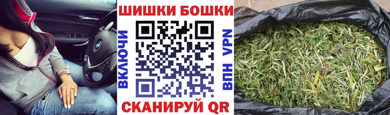 как найти   Приволжск  Шишки марихуана индика 